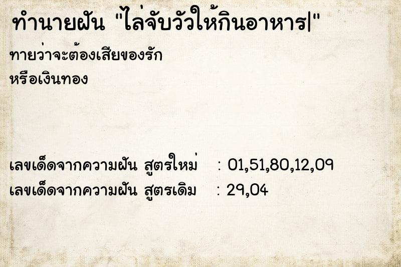 ทำนายฝัน ไล่จับวัวให้กินอาหาร|